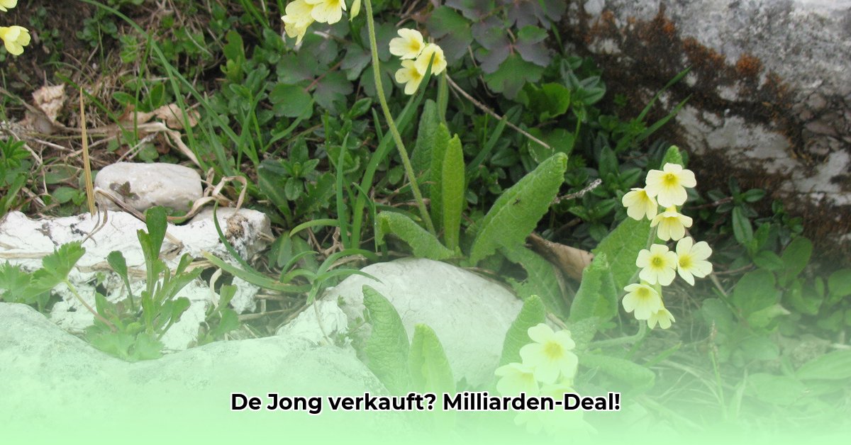 de-jong-verpakkingen